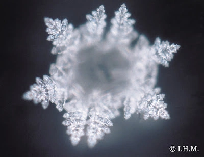 Emoto-water-grace.webp