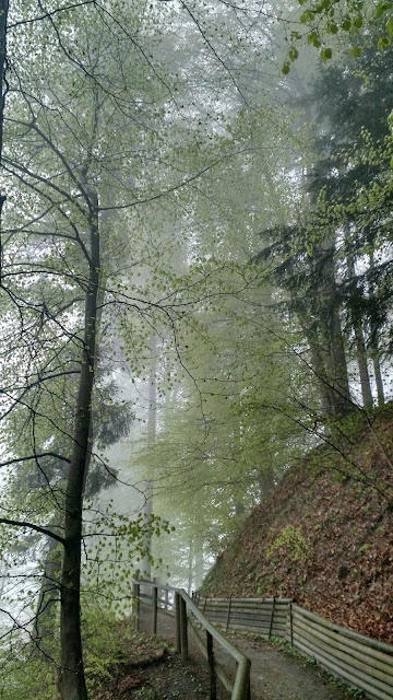  Near the top of Felsenegg